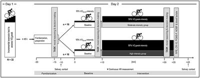 It's Harder to Push, When I Have to Push Hard—Physical Exertion and Fatigue Changes Reasoning and Decision-Making on Hypothetical Moral Dilemmas in Males